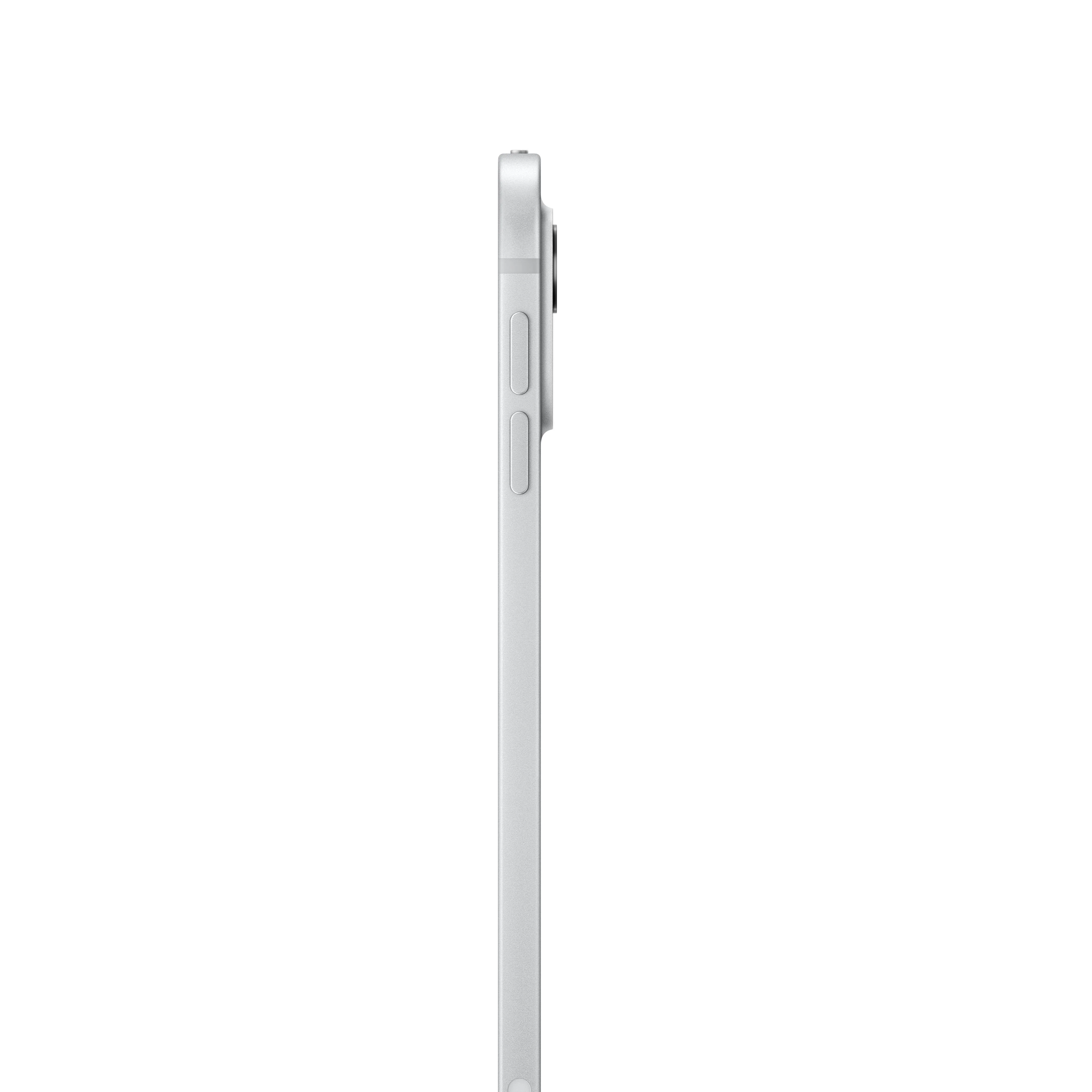 11-inch iPad Pro Wi-Fi + Cellular 2TB Nano-texture glass - Silver (M4) - Image 3